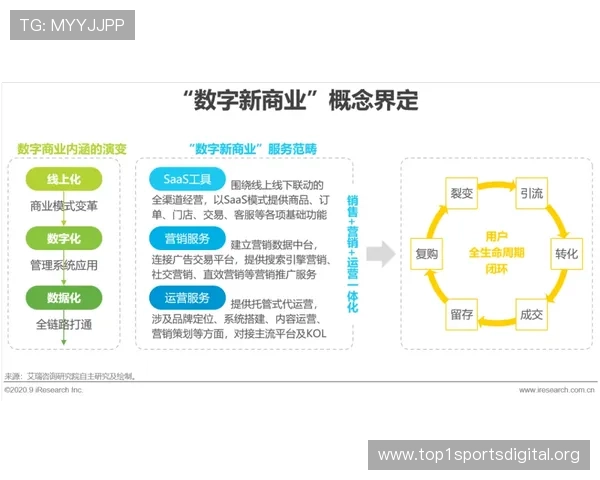 线上竞猜网站的盈利模式分析，帮助运营者优化策略实现持续盈利