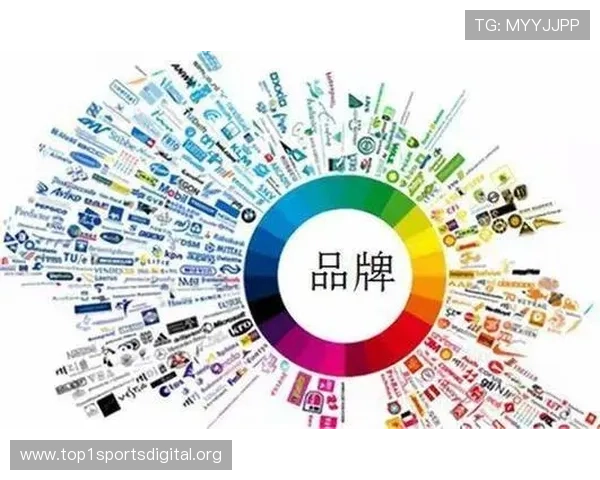 半岛综合体育推手怎么样:全面解析其品牌实力与市场口碑